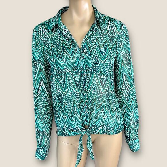 Charter Club Long Sleeves Button Up Sheer Chiffon Top Blouse Size M Green - Picture 1 of 15